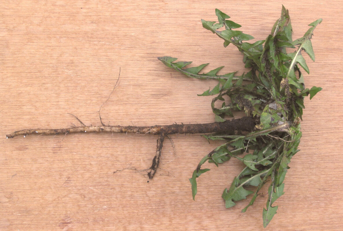 datenschutz per bitcoin